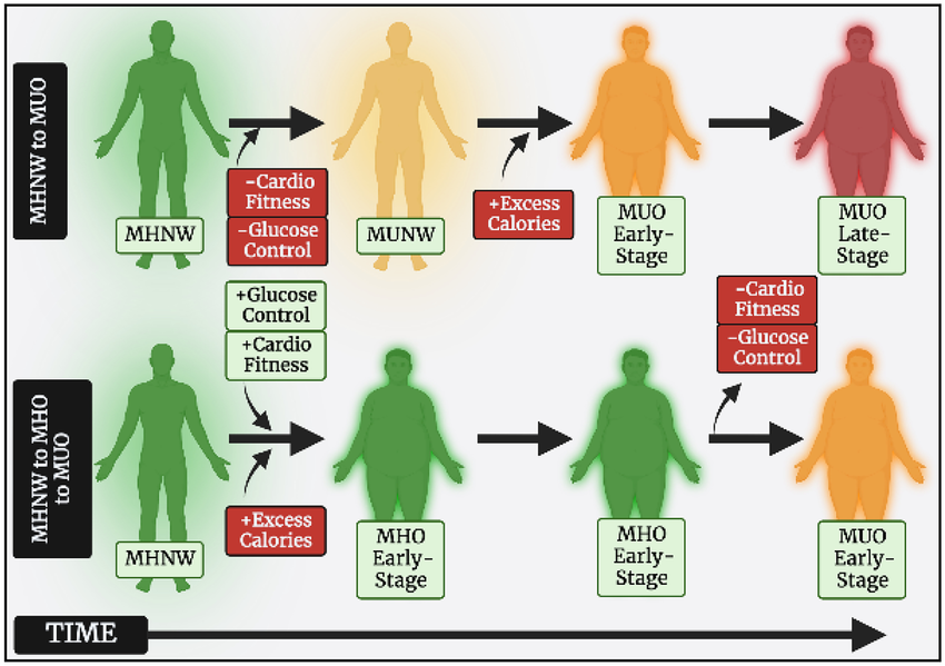 Metabolic Health Longevity — Why It Matters More Than Weight